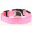 Pet LED Collar