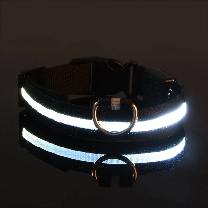 Glow In The Dark LED Dog Safety Collar