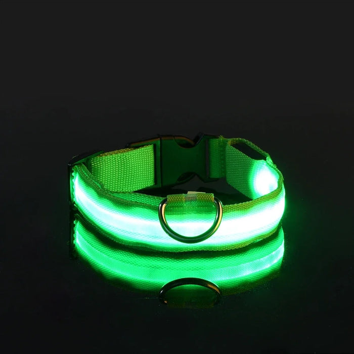 Glow In The Dark LED Dog Safety Collar