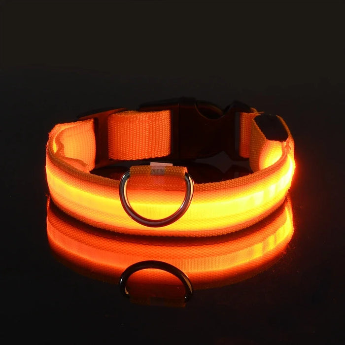 Glow In The Dark LED Dog Safety Collar