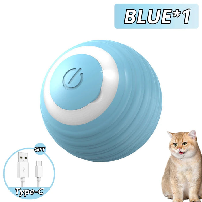 Cats Meow Toy